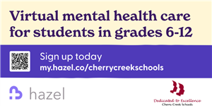 Virtual Mental Health